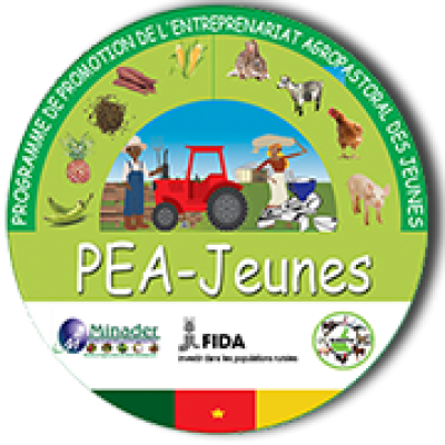 pea jeunes programme de promotion de lentreprenariat agropastoral des jeunes youth agropastoral entr 447617