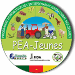 Accueil pea jeunes logo small